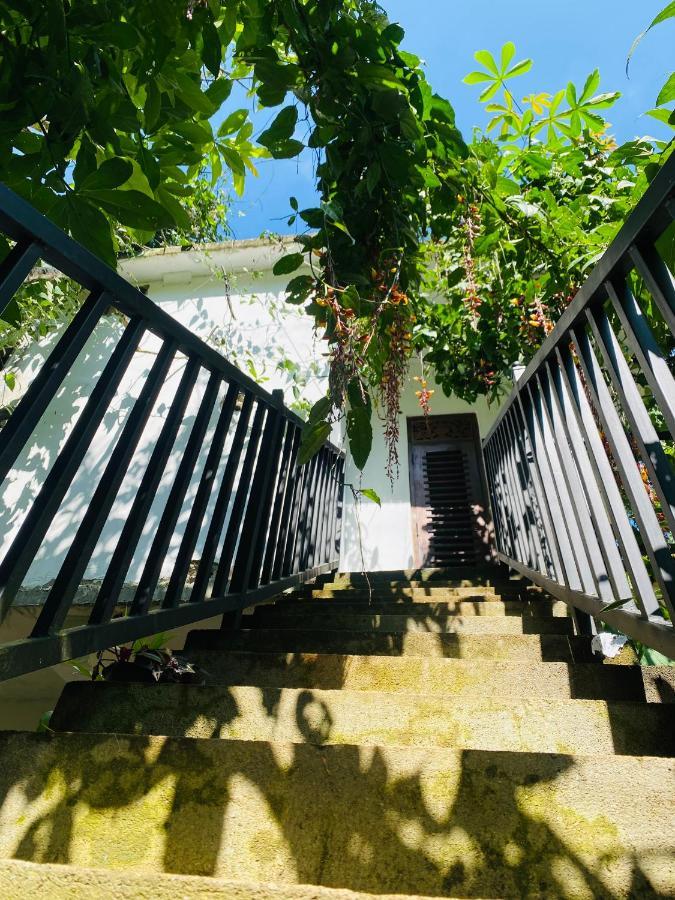 The Kingdom Of Ella Apartment Bagian luar foto