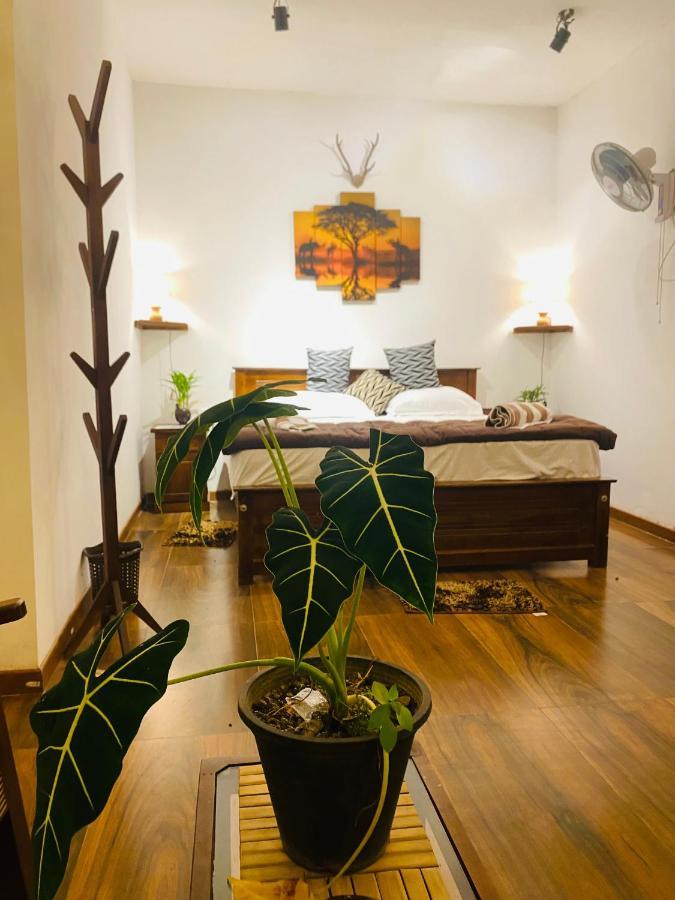 The Kingdom Of Ella Apartment Bagian luar foto