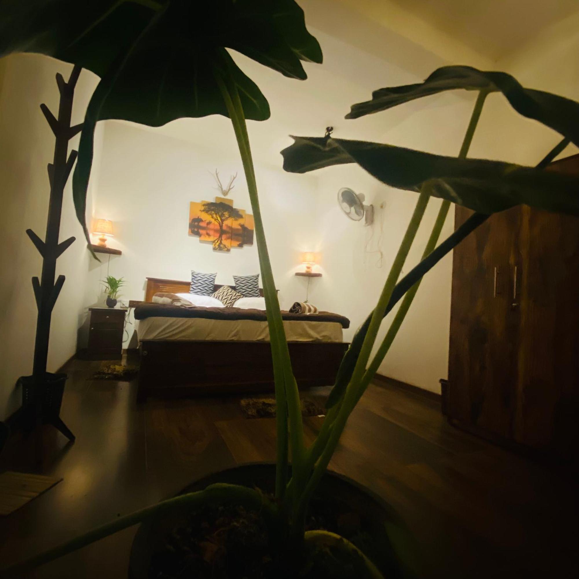 The Kingdom Of Ella Apartment Bagian luar foto