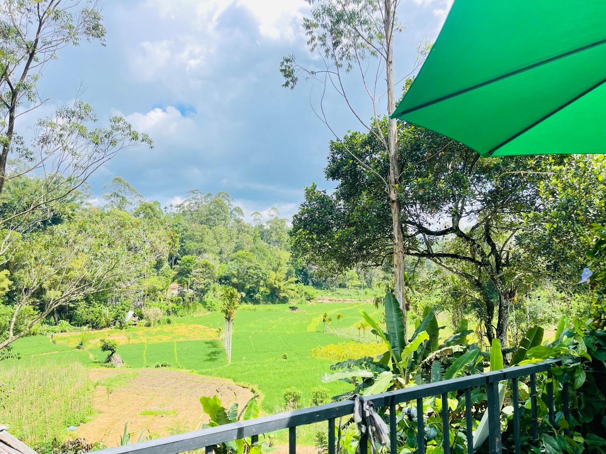 The Kingdom Of Ella Apartment Bagian luar foto